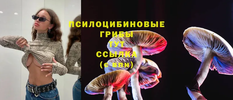 Галлюциногенные грибы MAGIC MUSHROOMS  где продают наркотики  Ишим 